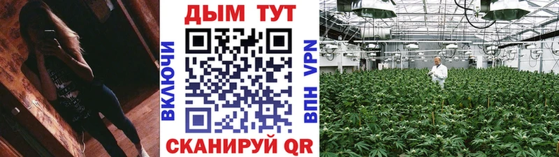 Наркошоп купить Кокаин  Псилоцибиновые грибы  АМФЕТАМИН  Кодеин  МЕФ  Бошки Шишки  Ладушкин